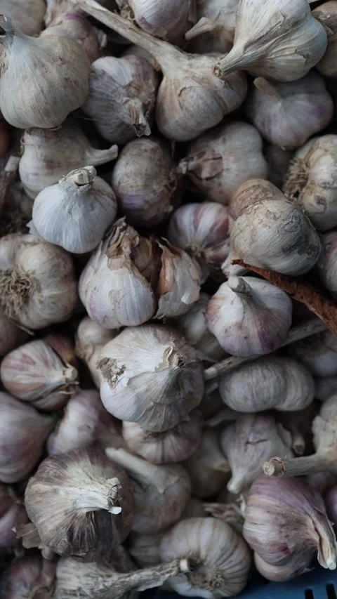 Vertical screen Close view of a pile of raw garlic bulbs with dry skins and natu Stock Footage 319832422
