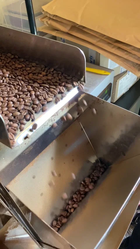 Vertical screen: Coffee roaster machine mixing aroma beans.Preparation fresh Stock Footage 263845744