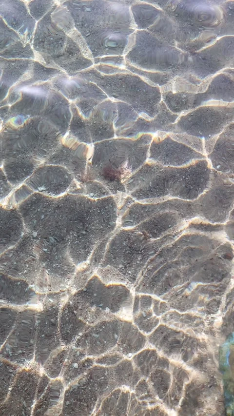 Vertical screen crystal clear shallow water with dancing sunlight patterns rippl Stock Footage 310020655