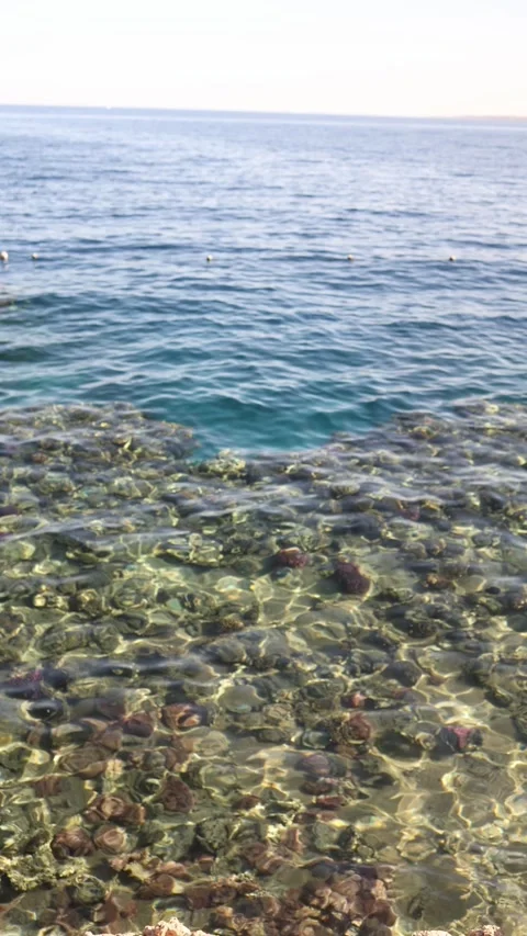 Vertical screen crystal clear shoreline with sunlight dancing over coral reef an Stock Footage 310015534