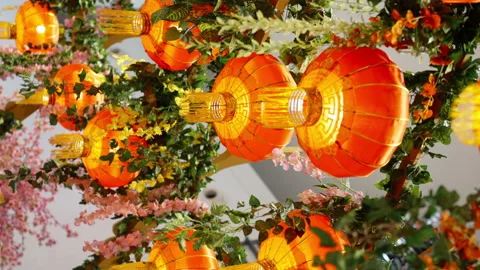 Vertical screen: Decorations for Chinese New Year, red lanterns and flowers Stock Footage 230435101