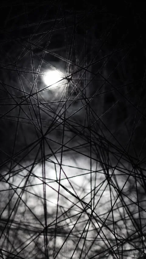 Vertical screen: A delicate yet chaotic spider web catches the light, revealing  Vídeos de archivo 304459253