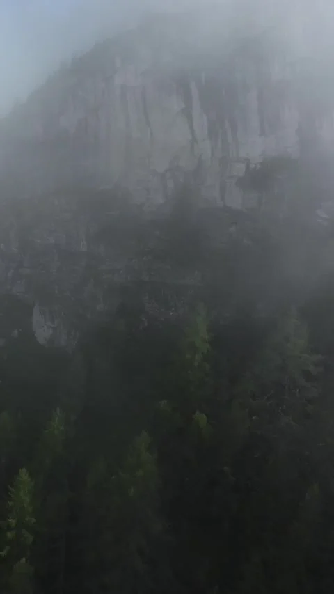 Vertical screen dense fog covers ancient forested ridges, heavy mist shrouds Stock Footage 323148967