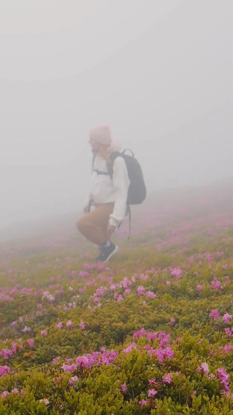 Vertical Screen Difficult climbing female explorer in the misty mountains. Stock Footage 299955485
