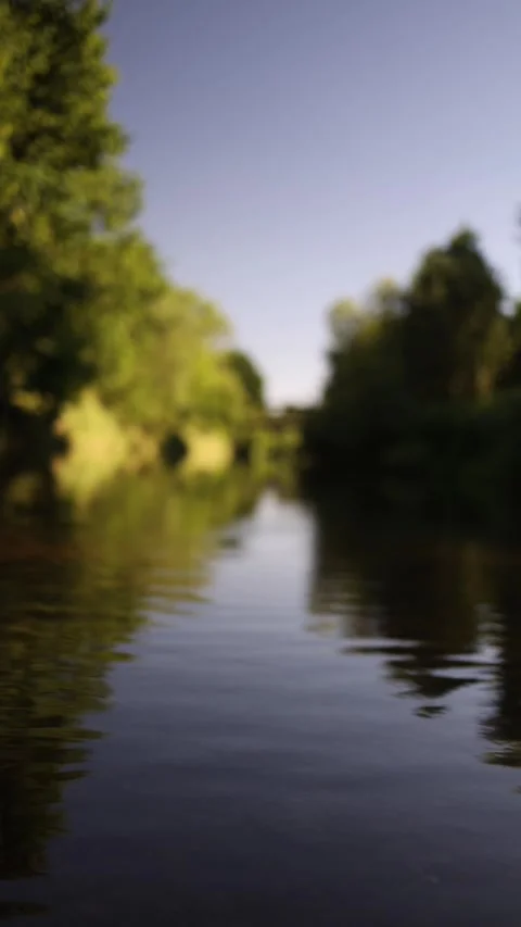 Vertical screen dreamy soft-focus view of a calm river surrounded by green trees Stock Footage 312316827