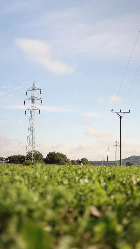 Vertical screen Electric power lines stretch across lush green fields under a bl Stock Footage 313843575
