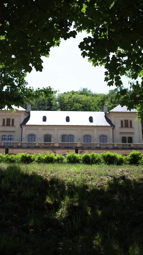 Vertical screen elegant old mansion framed by sunlit leaves stands quiet behind  Stock Footage 311648389