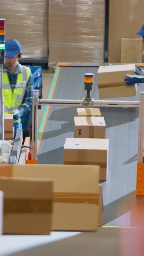 Vertical Screen Employees Loading Parcels in Sorting Center 스톡 동영상 319006968