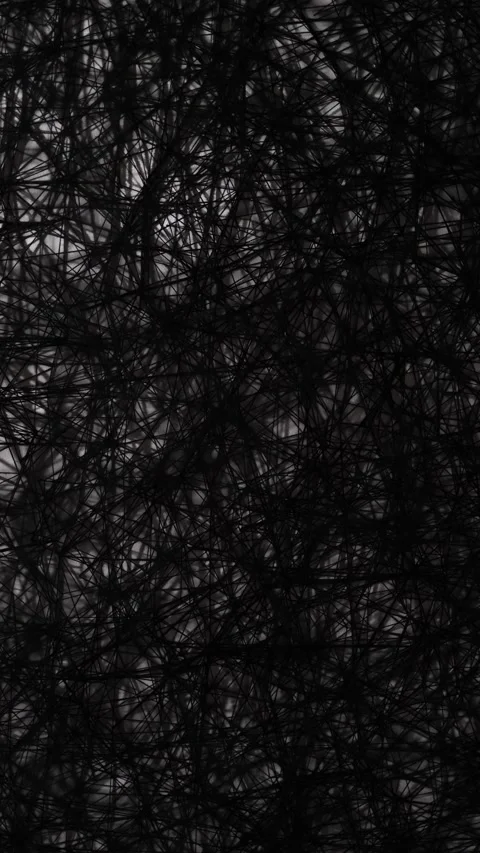 Vertical screen. Enigmatic tangled threads: A chaotic web of fine black lines in Stock Footage 304459128