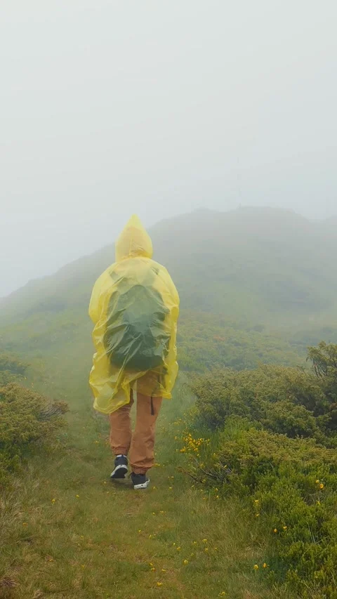 Vertical Screen Eoman hiker exploring nature in a misty rainy landscape. Stock Footage 299955529