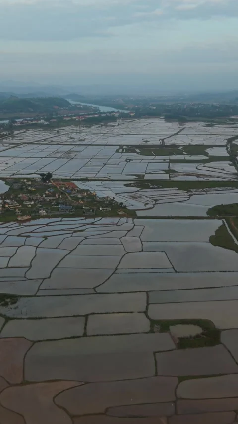 Vertical screen Extensive Rice Cultivation Reaches Out To Faroff River Valleys Stock Footage 342923741