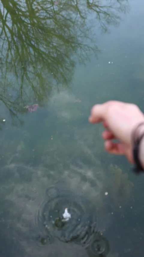 Vertical screen falling earbud into water hand above surface tech accident clean Stock Footage 306007381