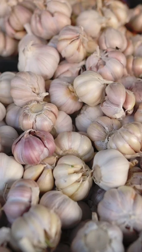 Vertical screen Fresh Garlic Pile Vietnam Street Market. Closeup Of Stacked 動画素材 332710426