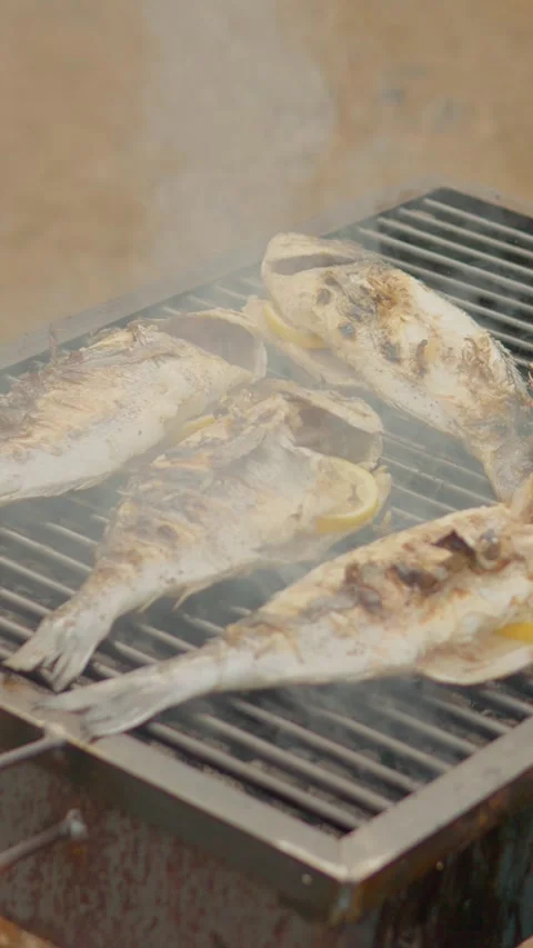 Vertical Screen Fresh sea bream grilling on a barbecue Stock Footage 303570138