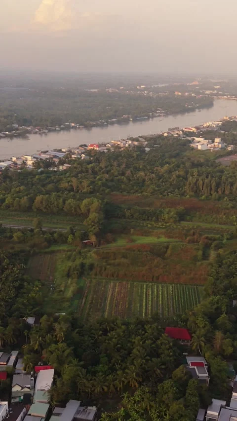 Vertical screen Golden Hour Aerial Of River And Patchwork Farmland Near Can Video stock 337217876