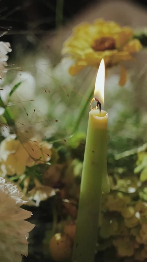 Vertical screen: a green candle surrounded by a beautiful arrangement of fresh Stock Footage 307831601