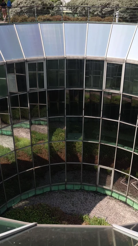 Vertical screen Greenhouse structure with curved glass walls surrounds rows of p Stock Footage 312677267