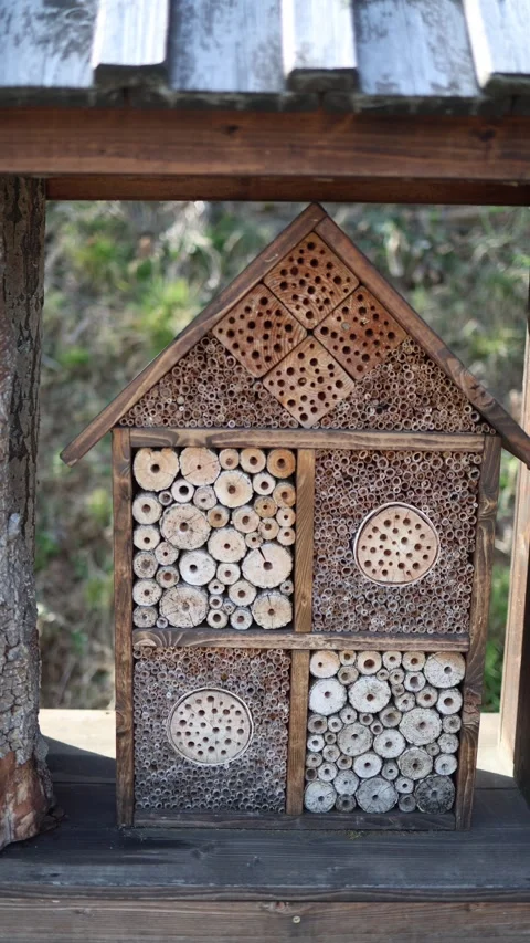 Vertical screen: A handcrafted wooden insect hotel designed for bees and other p Stock Footage 303907791