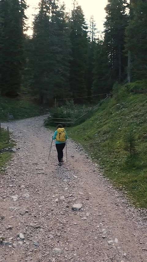 Vertical Screen Hiker With Yellow Backpack Walking Along Forked Mountain Path Stock Footage 323890667