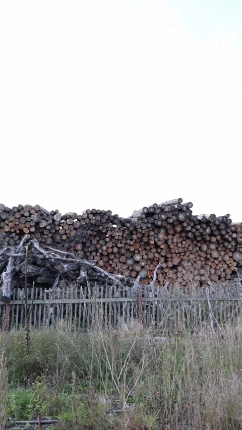 Vertical screen large pile of cut logs stacked in rows behind wooden fence with  Stock Footage 318217692