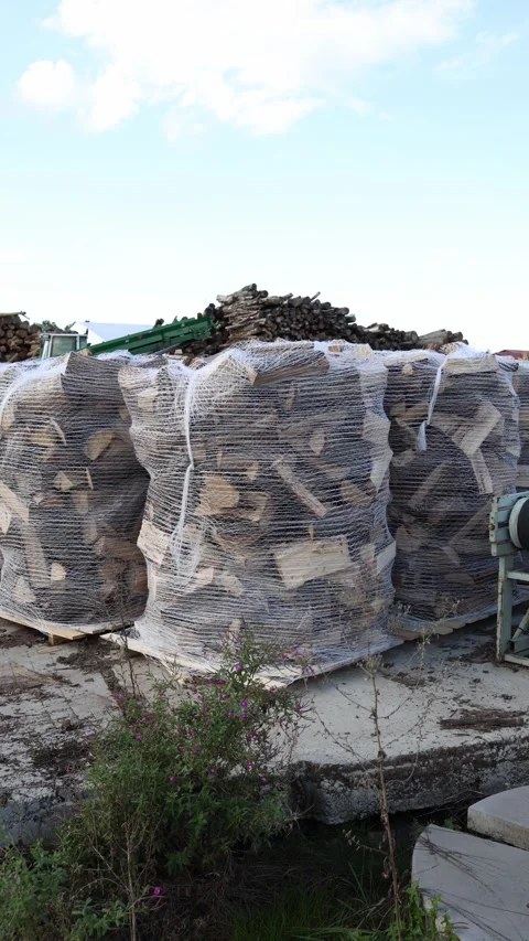 Vertical screen large stacks of chopped firewood packed in mesh bags on pallets  Stock Footage 318217738