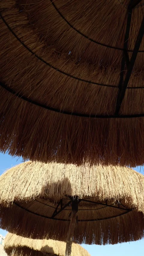 Vertical screen layered view of rustic straw umbrellas casting deep shade under  Video stock 310016360