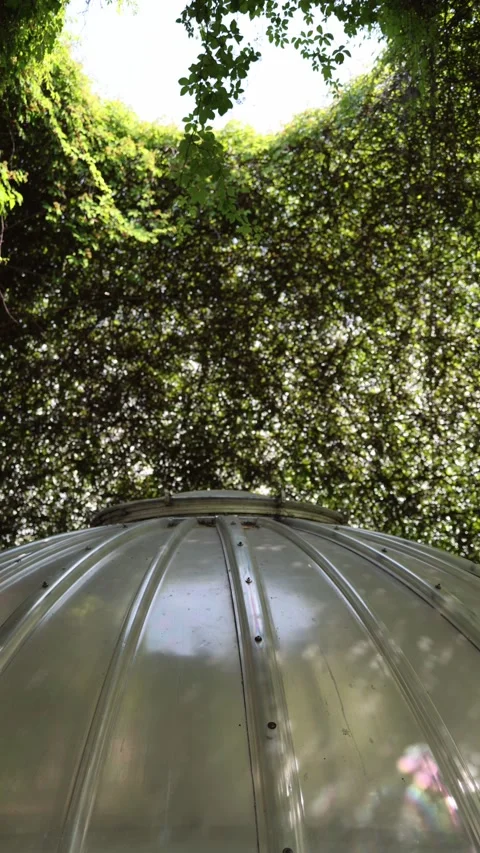 Vertical screen A metal dome structure is surrounded by dense greenery forming a Stock Footage 312696987