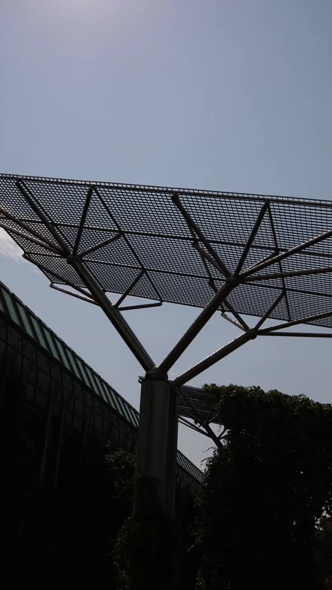 Vertical screen Metal structure shaped like a tree with wide mesh canopy stands  Stock Footage 312676829
