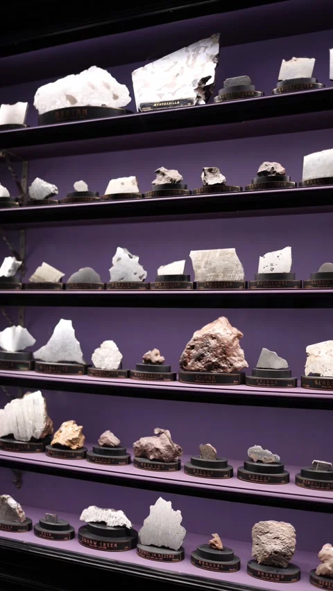 Vertical screen meteorite collection displayed in natural history museum glass c Stock Footage 320434319
