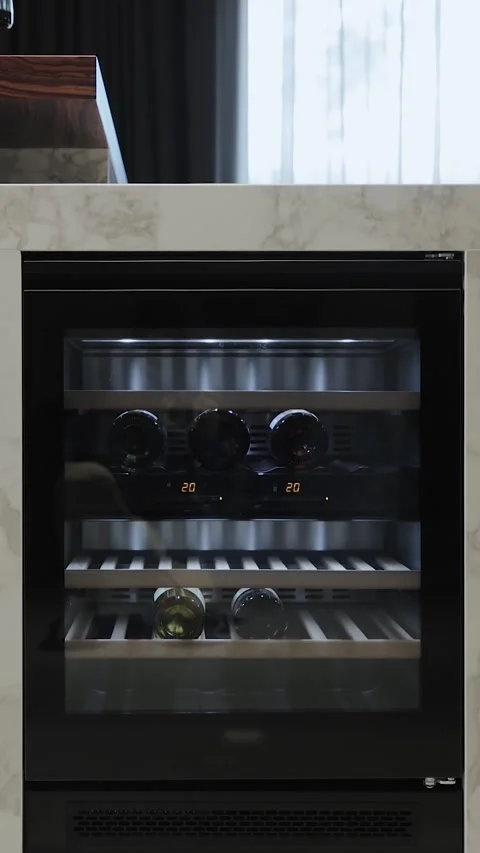 Vertical screen: Modern wine cooler beautifully showcasing an impressive Stock Footage 311256793