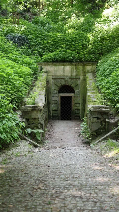 Vertical screen moss-covered stone tunnel entrance hidden in dense forest greene Stock Footage 311648515
