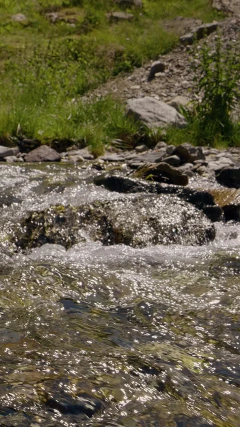 Vertical Screen Mountain river splashes down with clear waters. Stock Footage 299988873