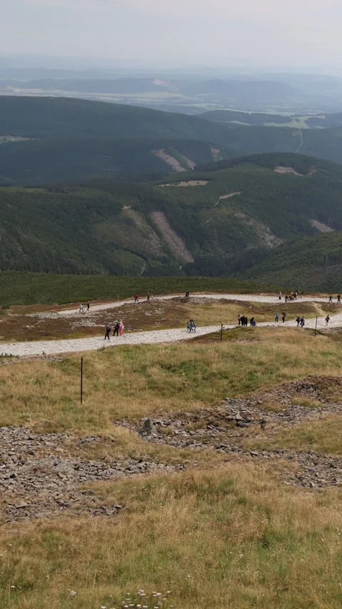 Vertical screen mountain trail winds through green slopes as groups of hikers wa Stock Footage 315940242