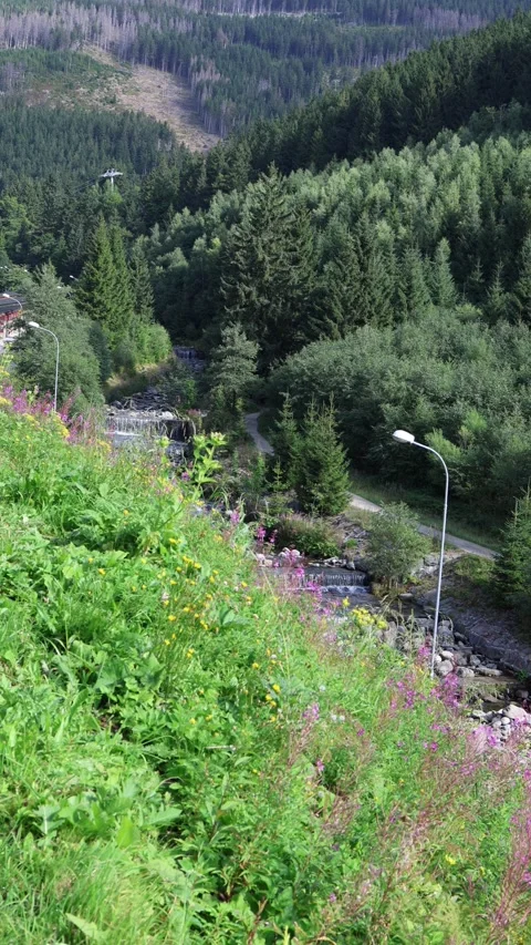 Vertical screen mountain valley with cascading stream flowing between dense gree Stock Footage 315940068