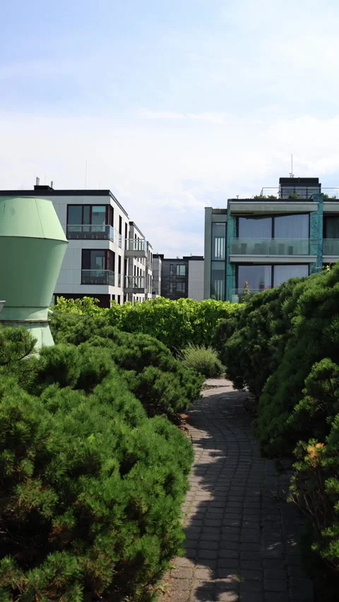 Vertical screen Narrow stone path winds through lush greenery on a rooftop garde Video stock 312697033