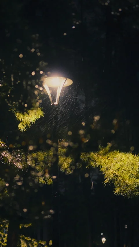 Vertical screen. Night park background shines a night lantern illuminating a Stock Footage 323707422