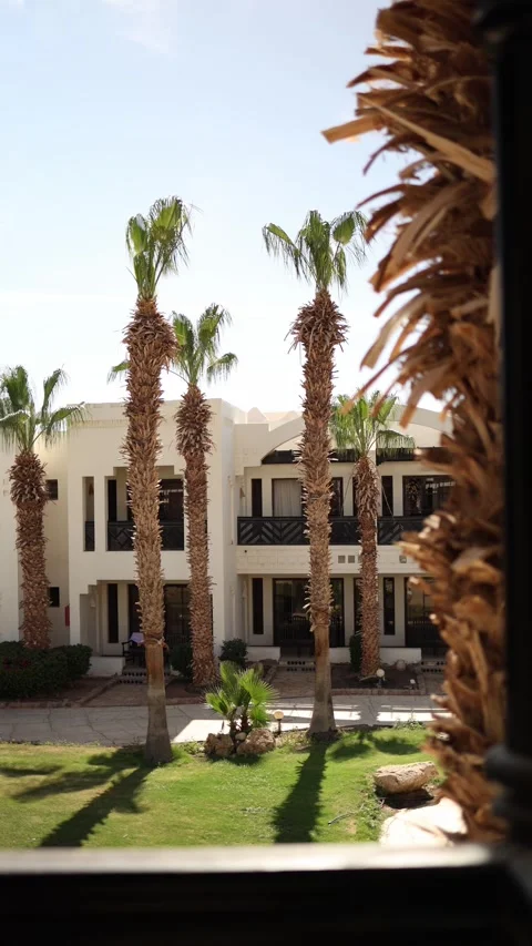 Vertical screen palm trees casting shadows on resort lawn elegant white building Stock Footage 310011320