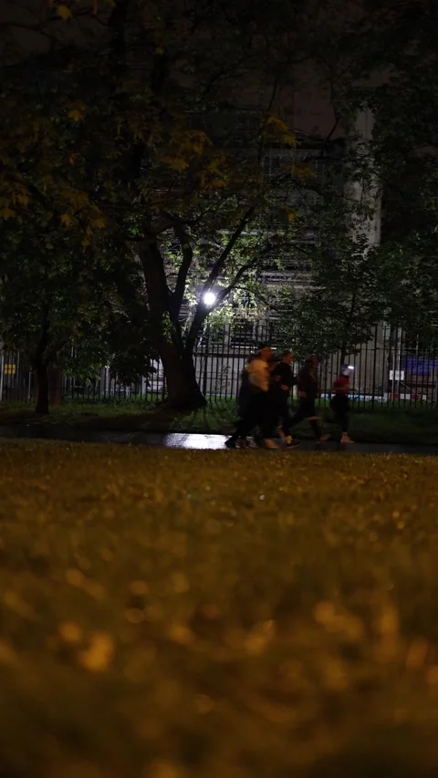 Vertical screen: Participants run through a dark park lit by faint streetlights, Stock Footage 307622973