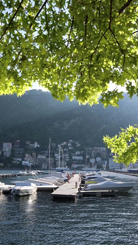 Vertical screen peaceful marina with docked boats under glowing green leaves cal Stock Footage 310468942