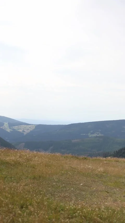 Vertical screen peaceful mountain valley with grassy meadow in the foreground op Stock Footage 315940191