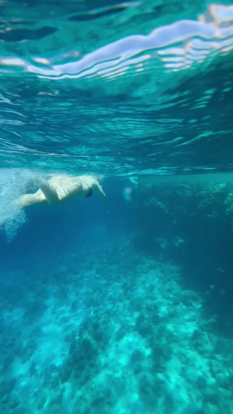 Vertical screen person swims underwater close to the surface with sunlight refle Stock Footage 317086579