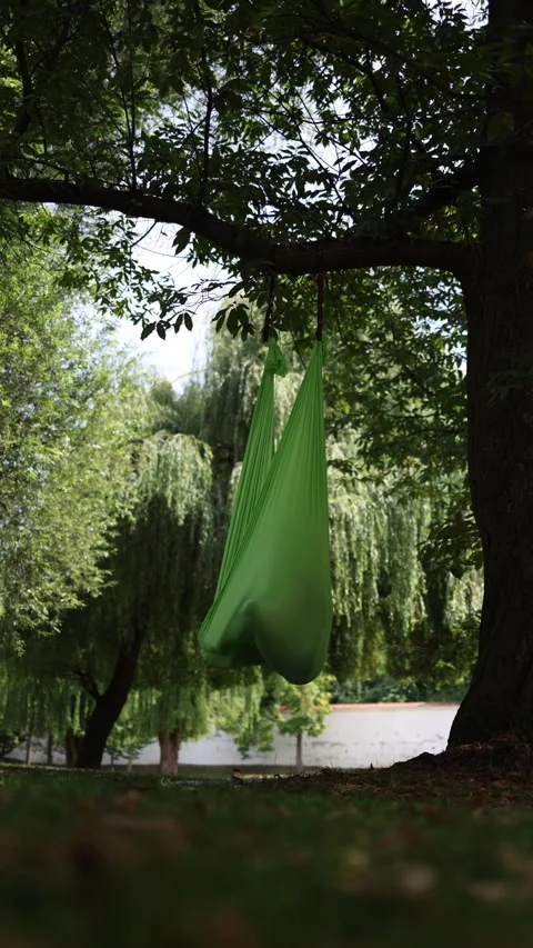 Vertical screen person wrapped in a green hammock floats under tree branches sur Stock Footage 313378714