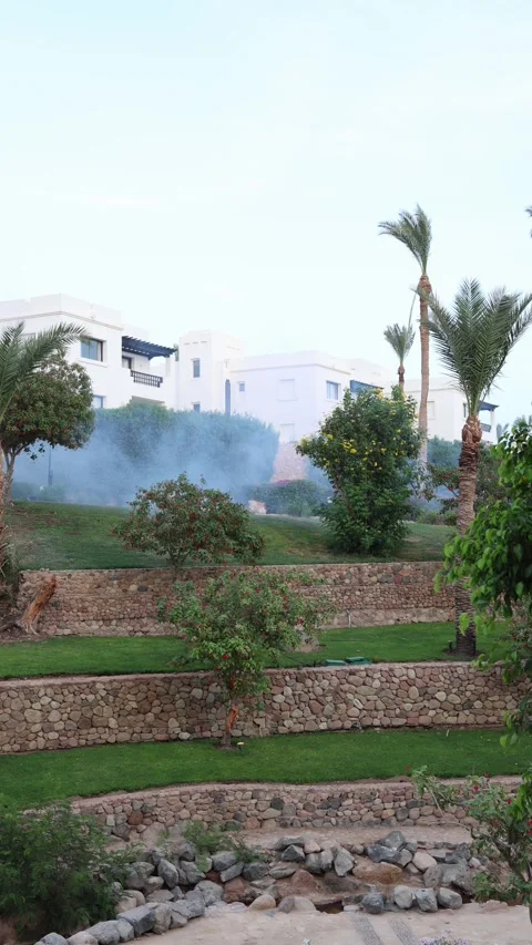 Vertical screen pest control worker sprays dense white smoke across lush tropica Video stock 310056620