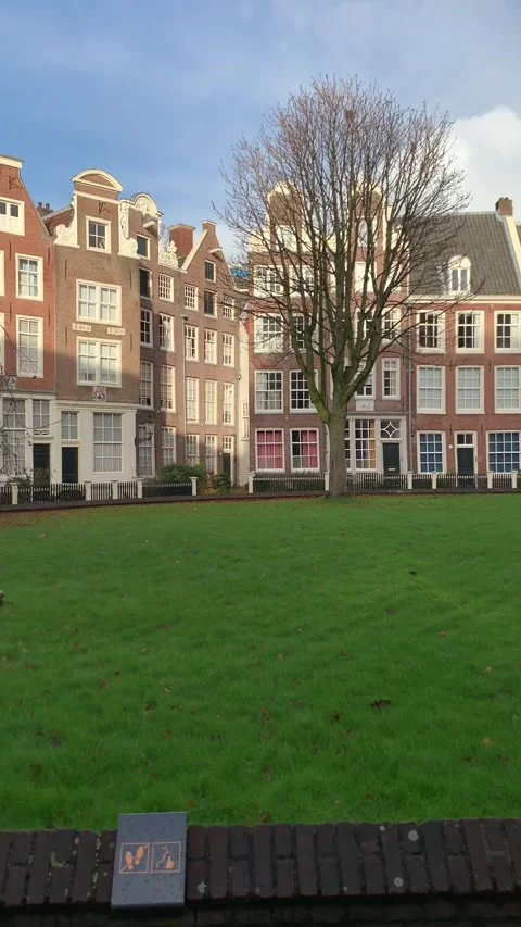 Vertical screen: A picturesque courtyard with lush green grass, surrounded by tr Stock Footage 296532665