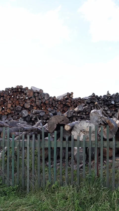 Vertical screen pile of cut logs stacked behind green wooden fence with grass in Stock Footage 318217697