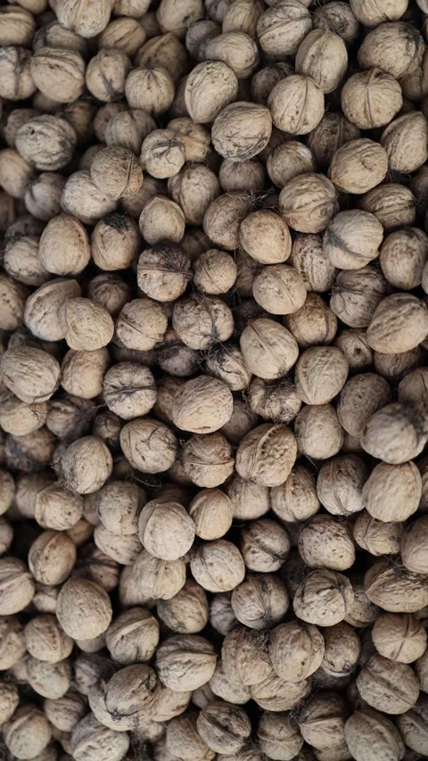 Vertical screen Pile of unshelled walnuts tightly packed showing dry rough shell Stock Footage 319832479