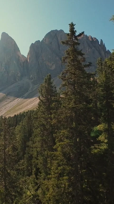 Vertical Screen Pine Forest With Dolomites Peaks In Background, Morning Light Stock Footage 323979701