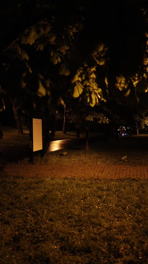 Vertical screen: A quiet park at night, lit by warm streetlights. Tree leaves ha Stock Footage 307622913
