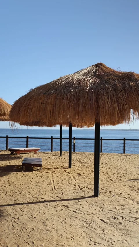 Vertical screen quiet sandy beach with straw umbrellas and wooden loungers facin Stock Footage 310015533