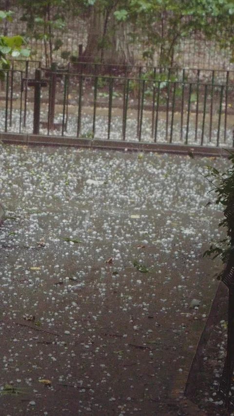 Vertical Screen Raining in the front yard and hailing heavily. Stock Footage 299847448
